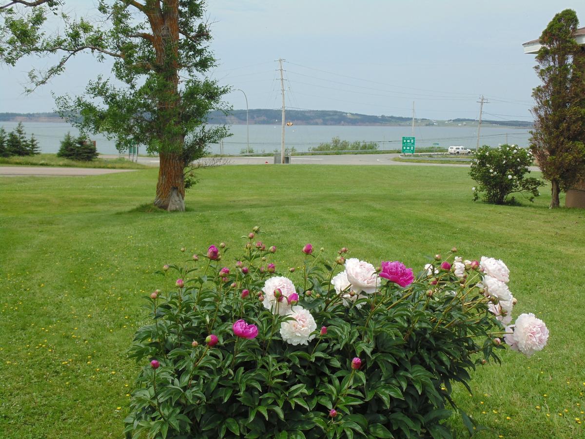 Hebridean Motel Port Hood Exterior photo